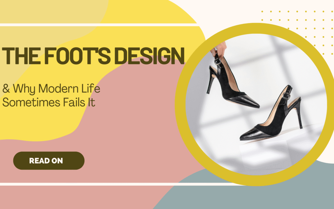 The Foot’s Design & Why Modern Life Sometimes Fails It