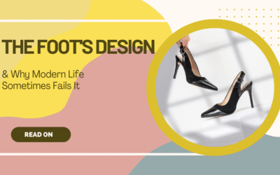 The Foot’s Design & Why Modern Life Sometimes Fails It