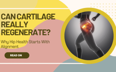 Can Cartilage Really Regenerate? Why Hip Health Starts with Alignment
